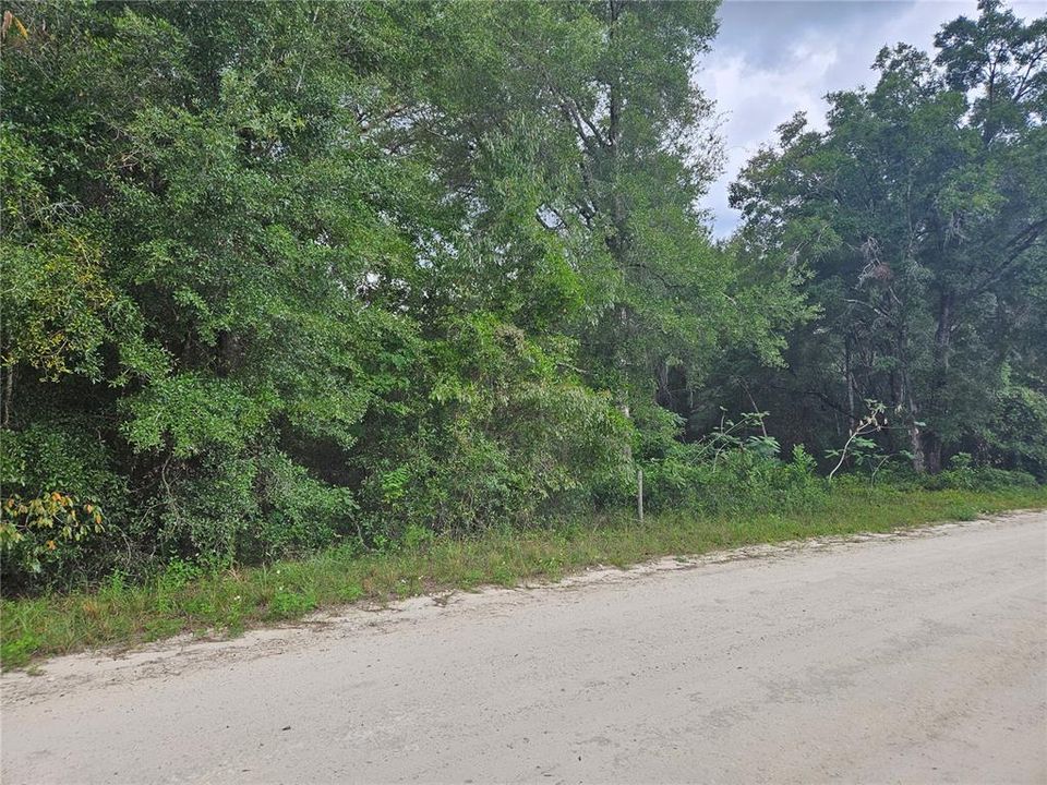 На продажу: $12,000 (0.30 acres)