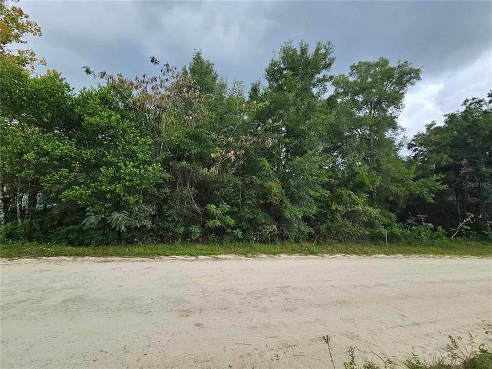 На продажу: $12,000 (0.30 acres)