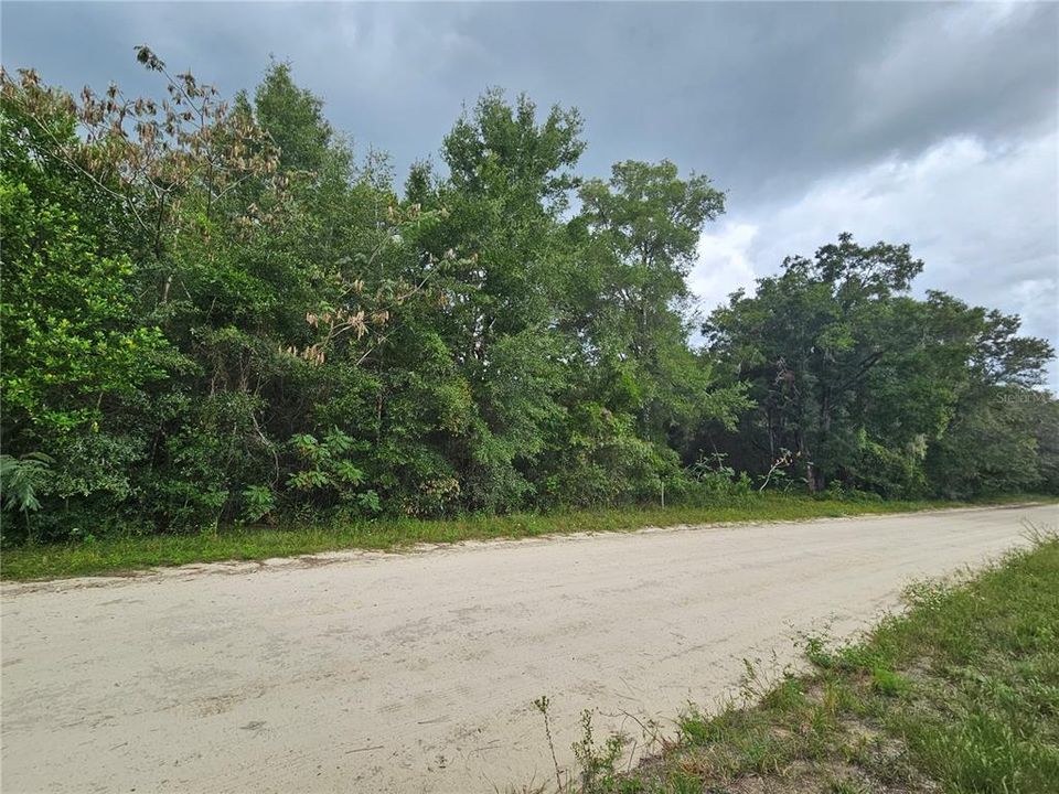 На продажу: $12,000 (0.30 acres)