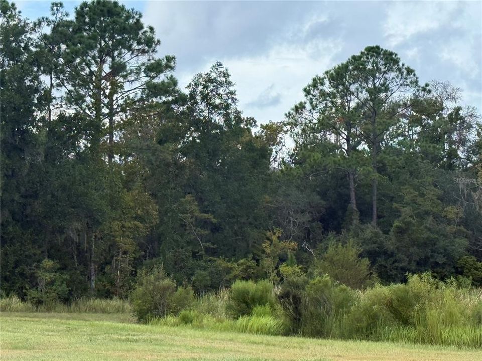 For Sale: $15,000 (0.30 acres)