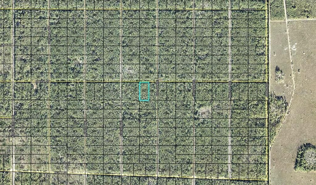En Venta: $15,000 (1.25 acres)
