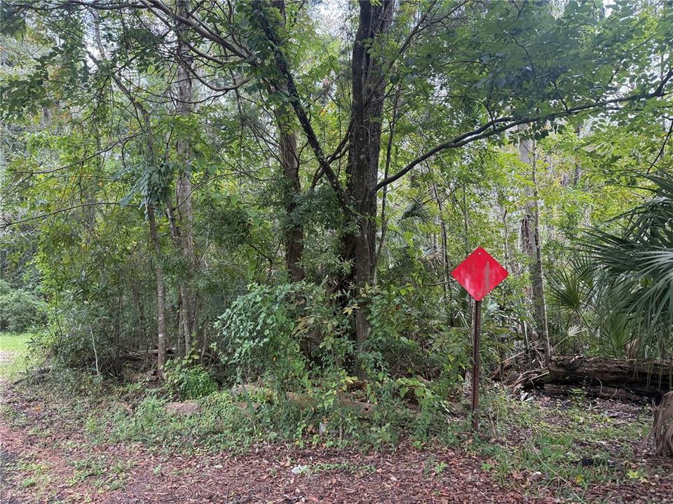 For Sale: $18,000 (0.30 acres)
