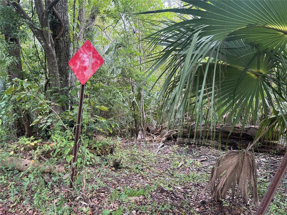 For Sale: $18,000 (0.30 acres)