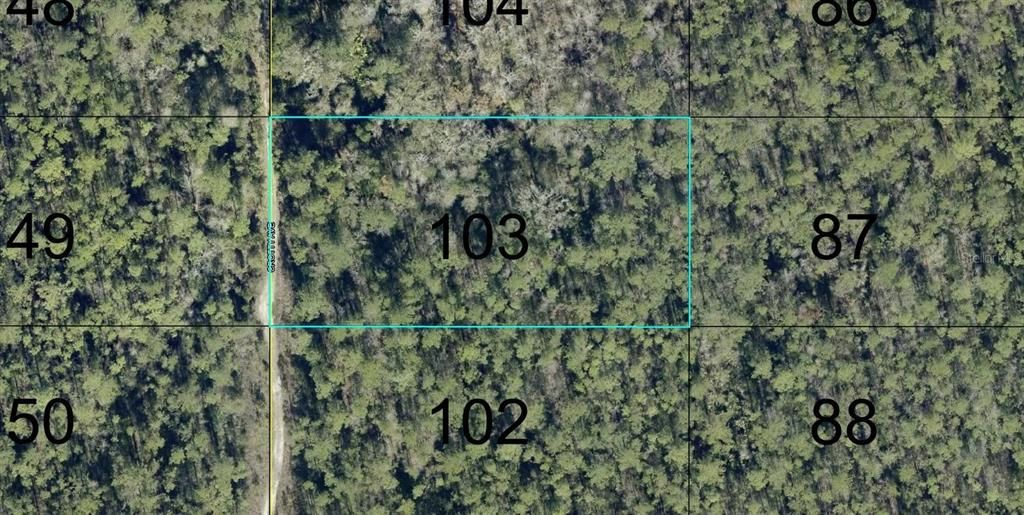 En Venta: $15,000 (1.25 acres)