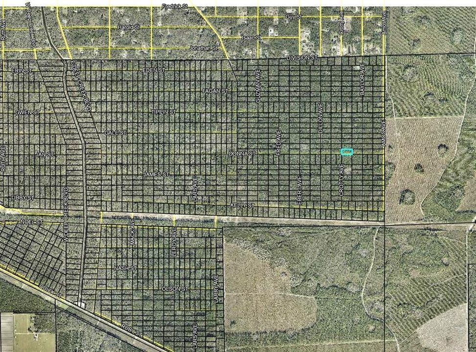 En Venta: $15,000 (1.25 acres)