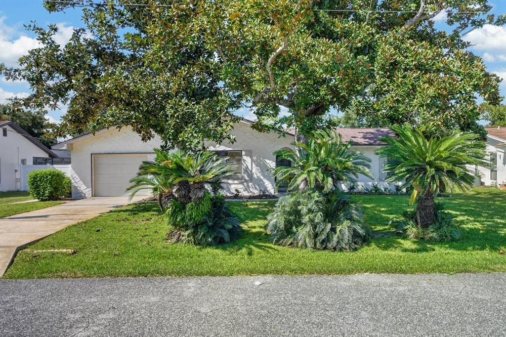 En Venta: $389,900 (3 camas, 2 baños, 1338 Pies cuadrados)