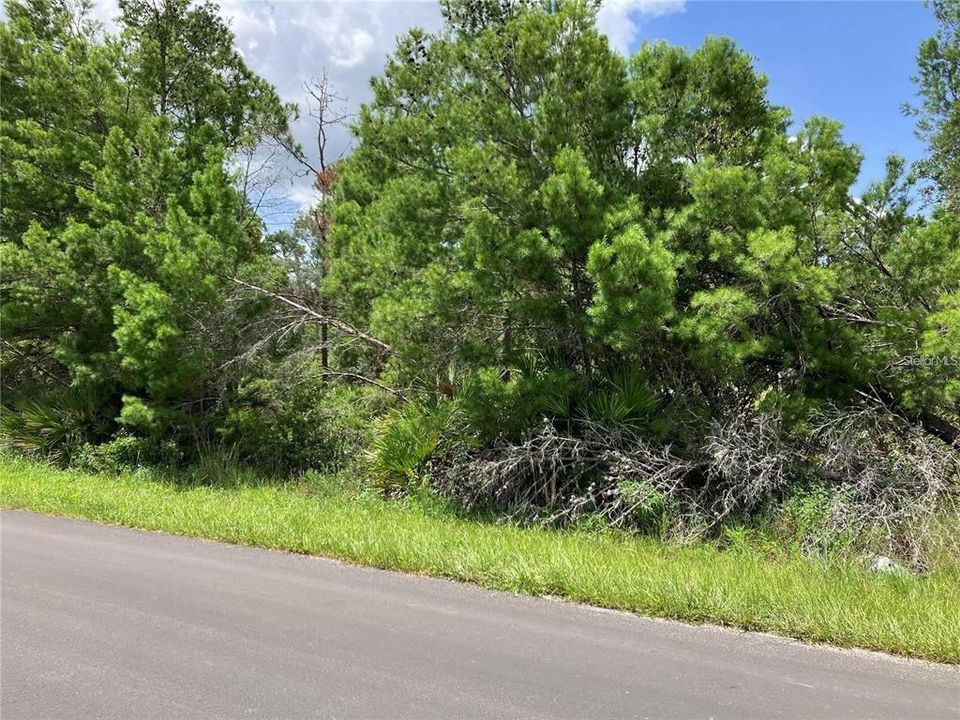 En Venta: $220,000 (1.13 acres)