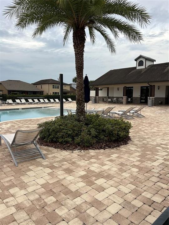 For Rent: $2,400 (4 beds, 3 baths, 1825 Square Feet)