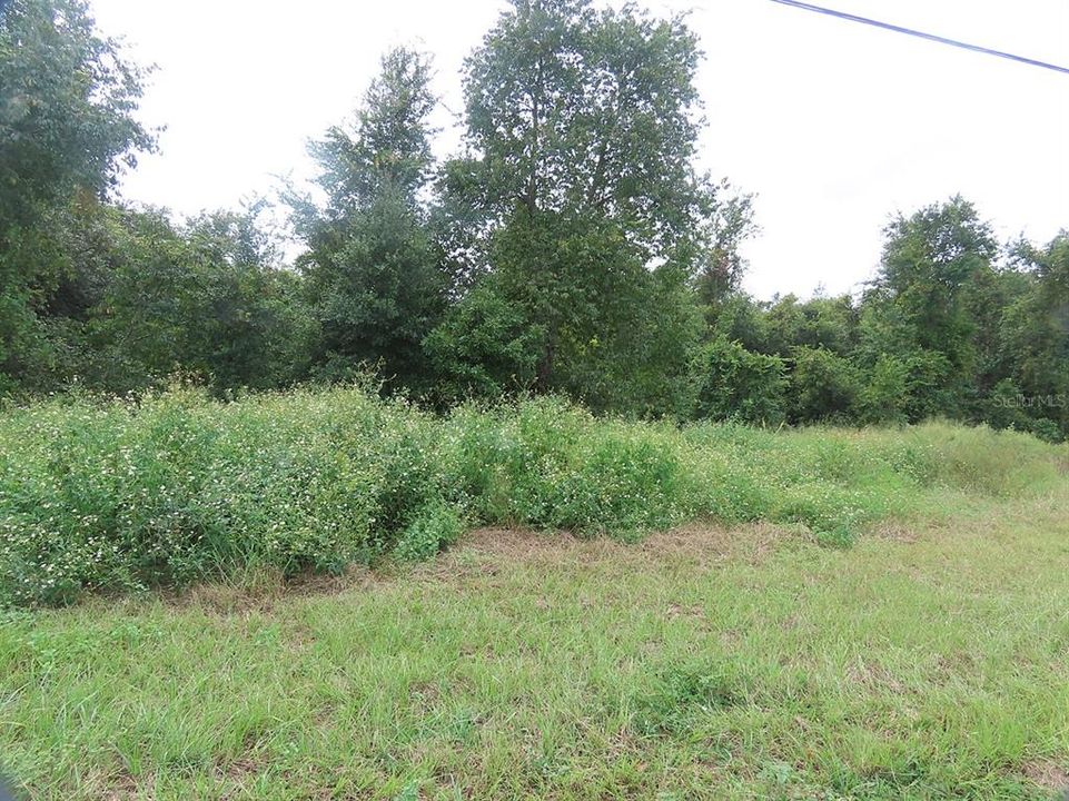 На продажу: $980,000 (4.72 acres)