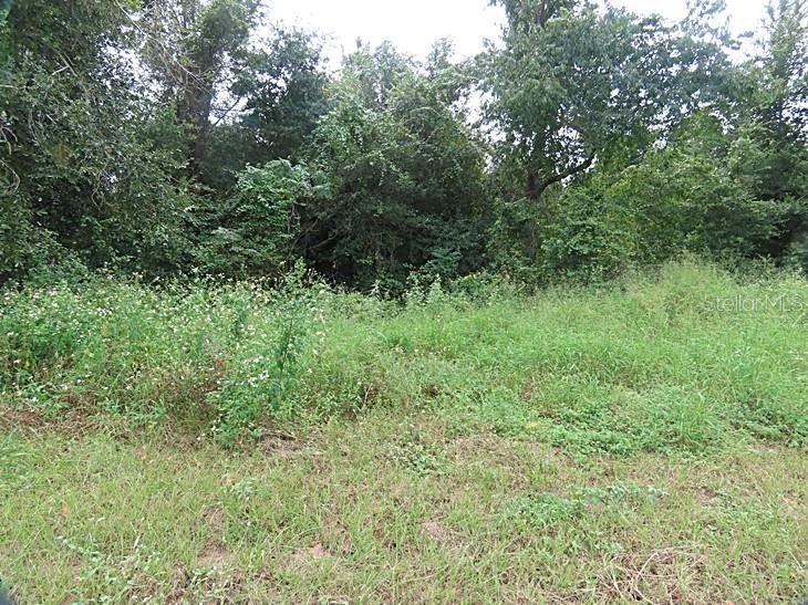 На продажу: $980,000 (4.72 acres)