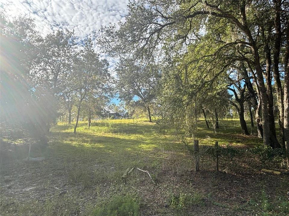 На продажу: $70,000 (1.25 acres)