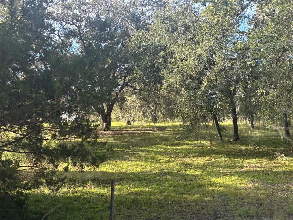 На продажу: $70,000 (1.25 acres)
