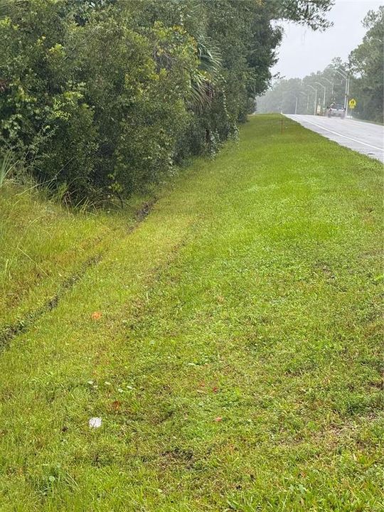 For Sale: $300,000 (18.12 acres)