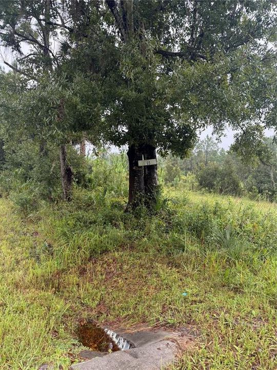 For Sale: $300,000 (18.12 acres)