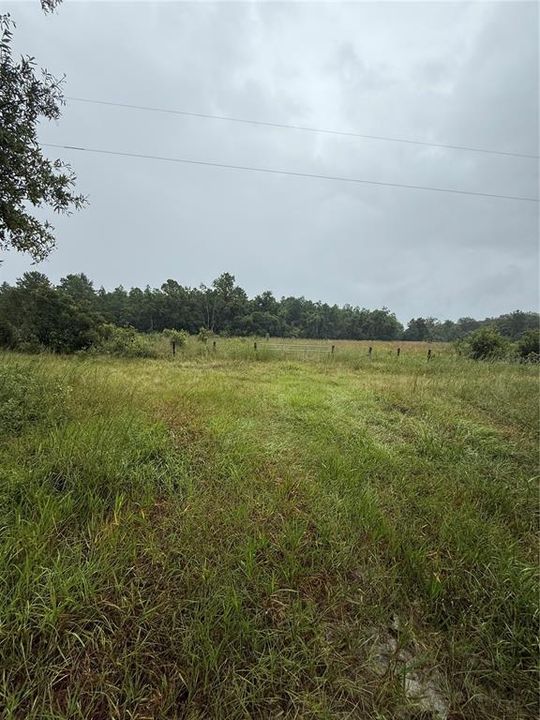 For Sale: $300,000 (18.12 acres)