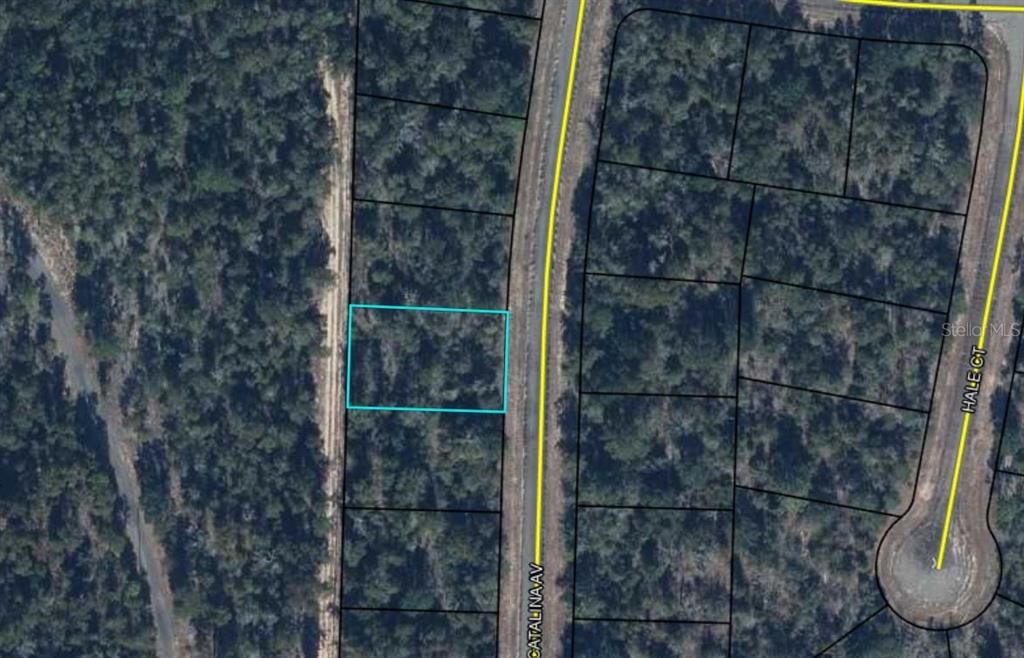 En Venta: $5,499 (0.23 acres)