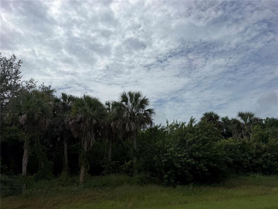 На продажу: $35,000 (0.23 acres)