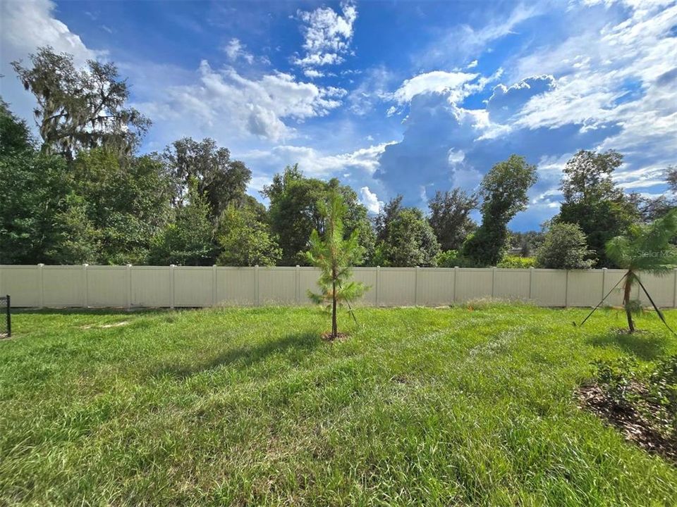 For Rent: $1,990 (3 beds, 2 baths, 1807 Square Feet)