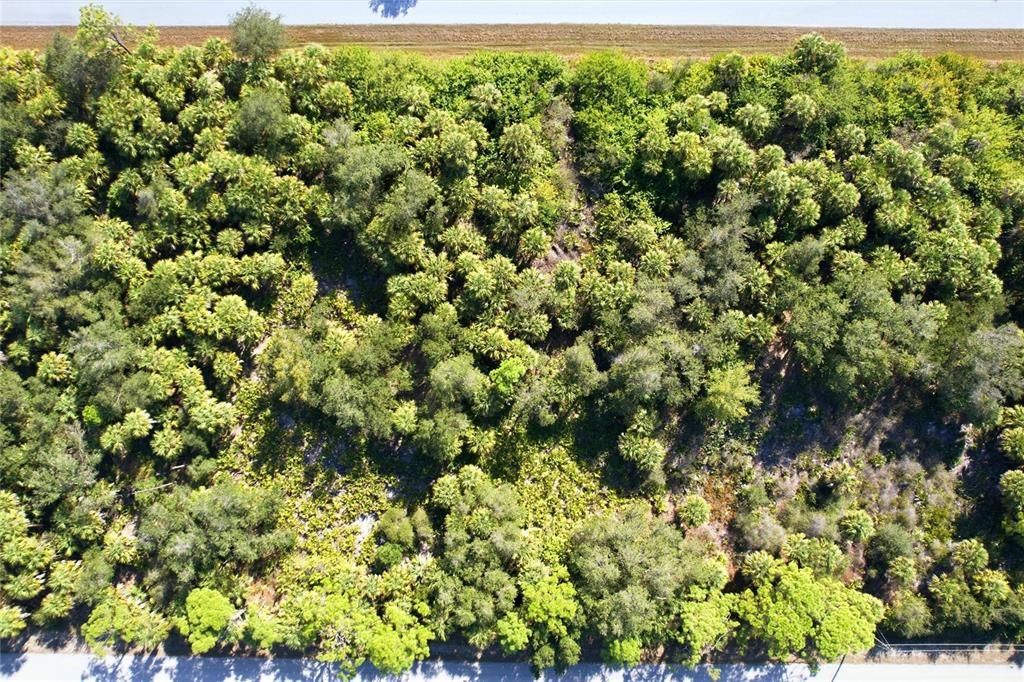 For Sale: $15,000 (0.23 acres)