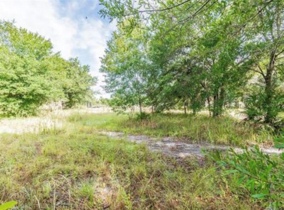 待售: $99,900 (1.42 acres)