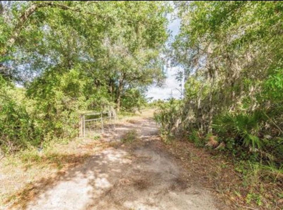 待售: $99,900 (1.42 acres)