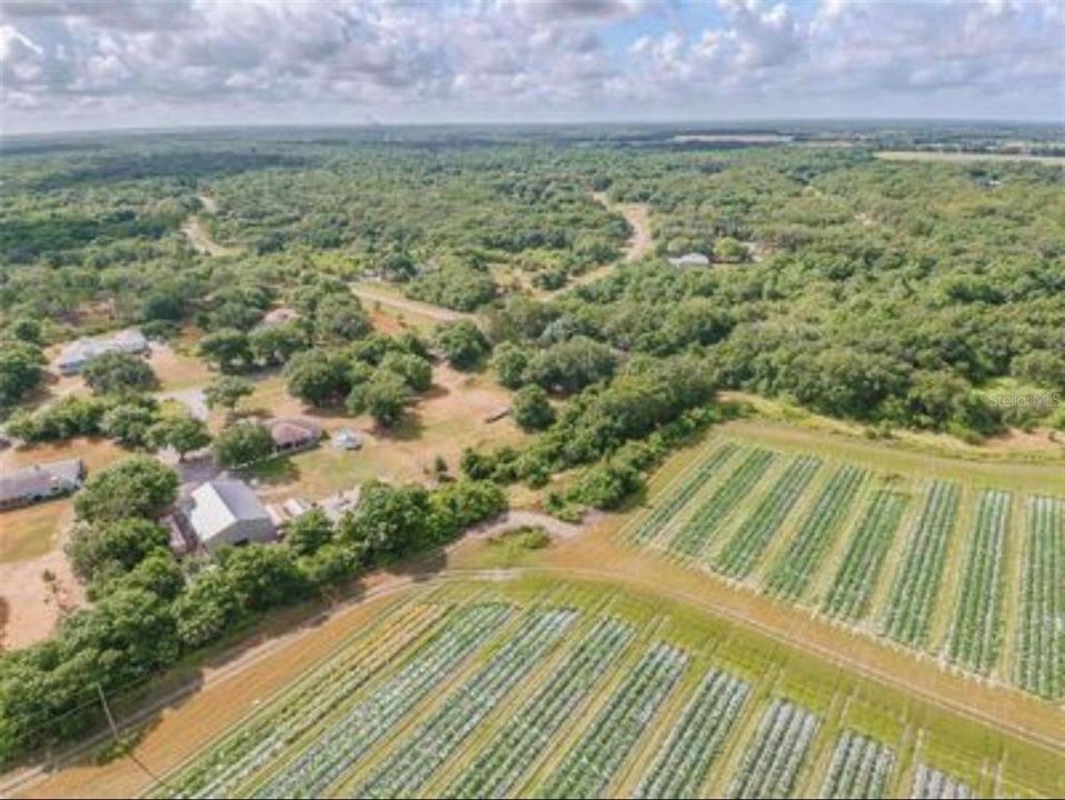 待售: $99,900 (1.42 acres)