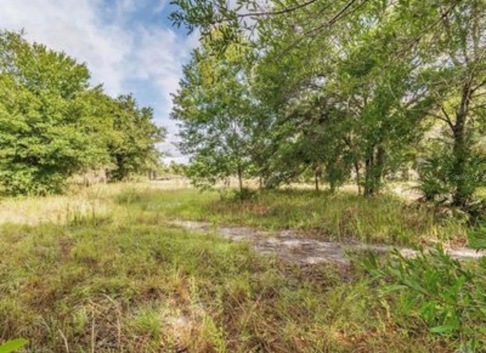 待售: $99,900 (1.42 acres)