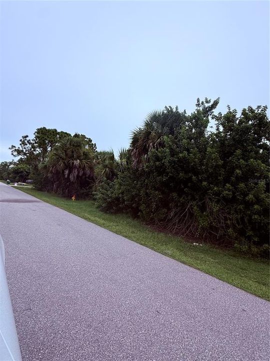 На продажу: $19,000 (0.23 acres)