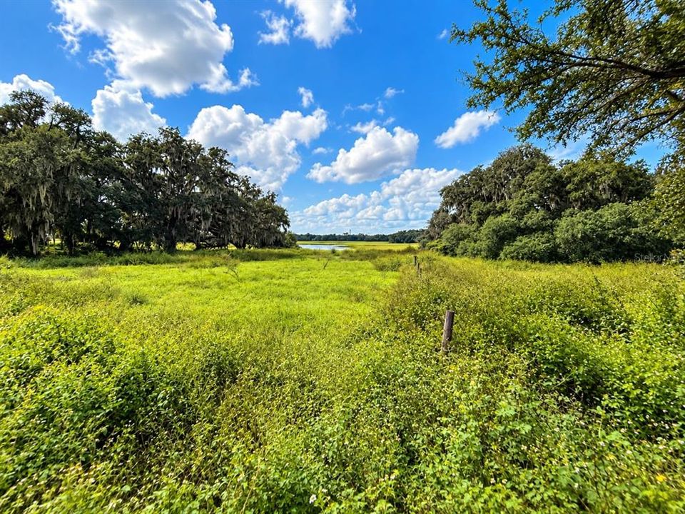 For Sale: $399,000 (3 beds, 2 baths, 1466 Square Feet)