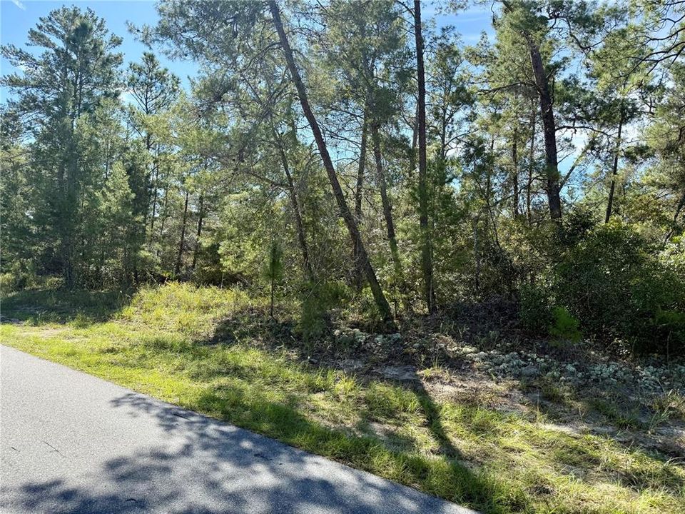 待售: $52,000 (1.00 acres)
