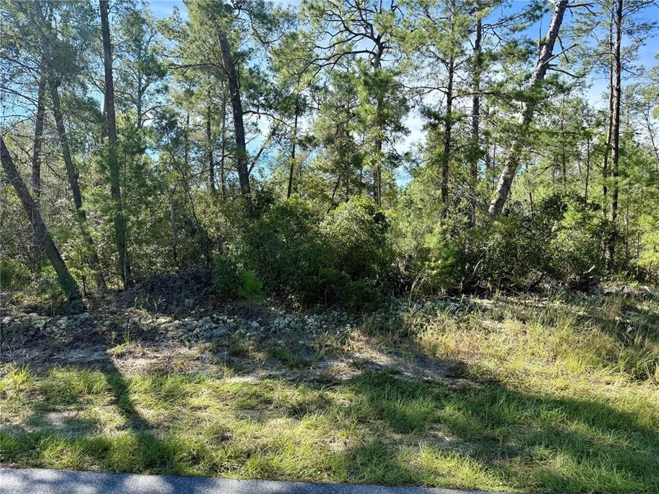 待售: $52,000 (1.00 acres)