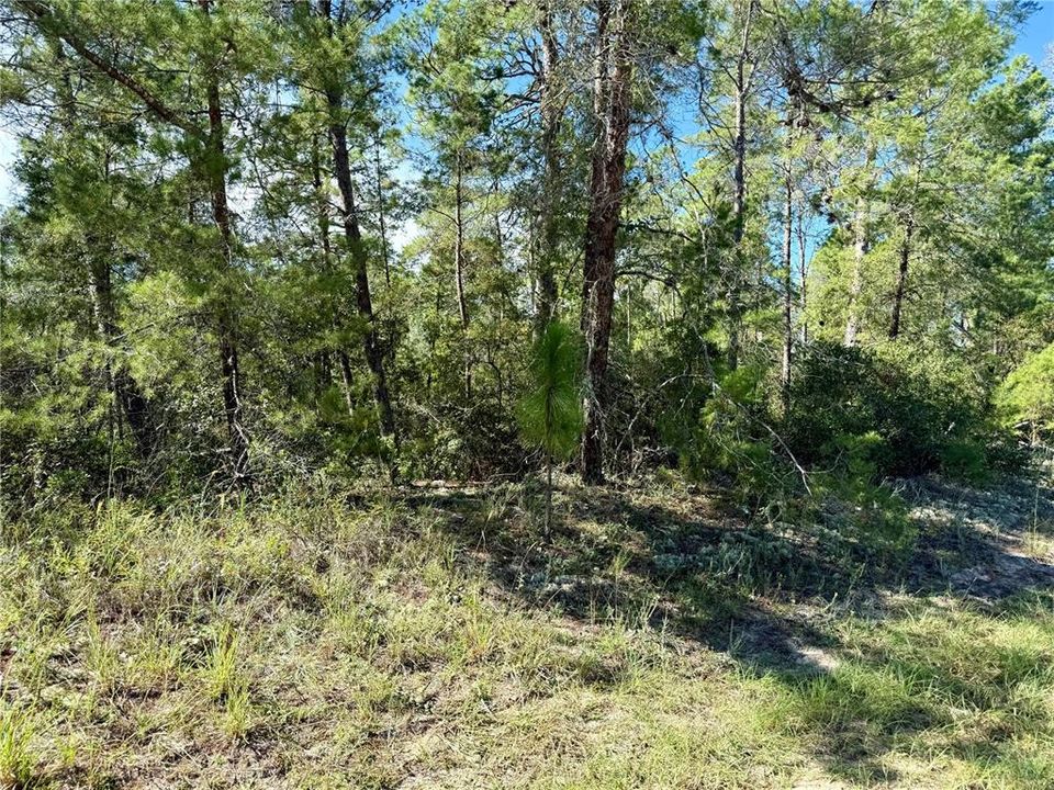 待售: $52,000 (1.00 acres)