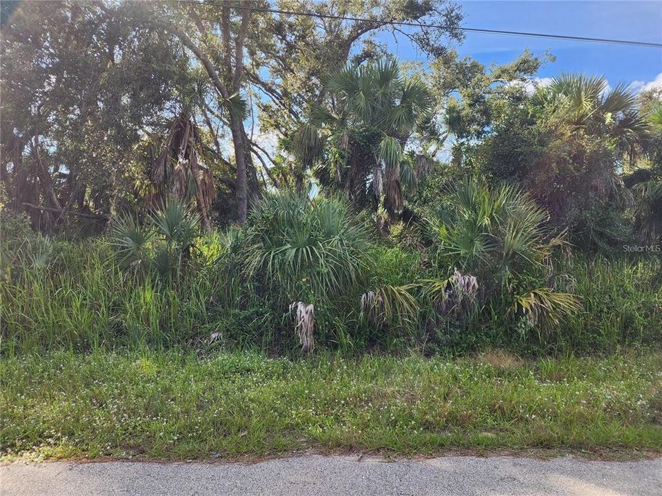 For Sale: $30,000 (0.24 acres)