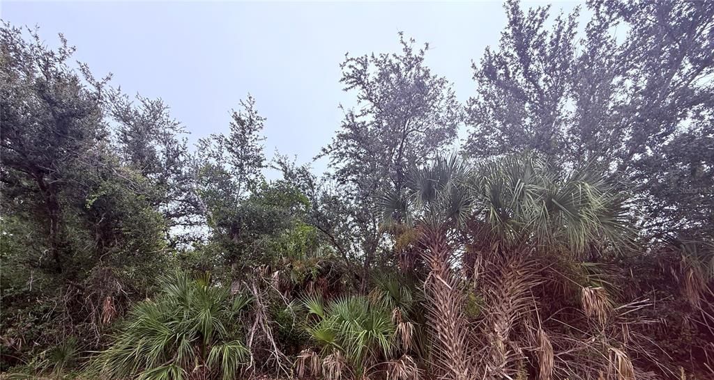 For Sale: $22,000 (0.23 acres)