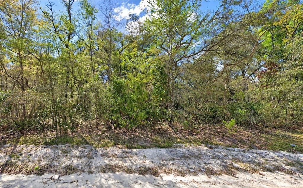 En Venta: $40,000 (3.05 acres)