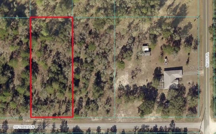 For Sale: $50,000 (0.99 acres)