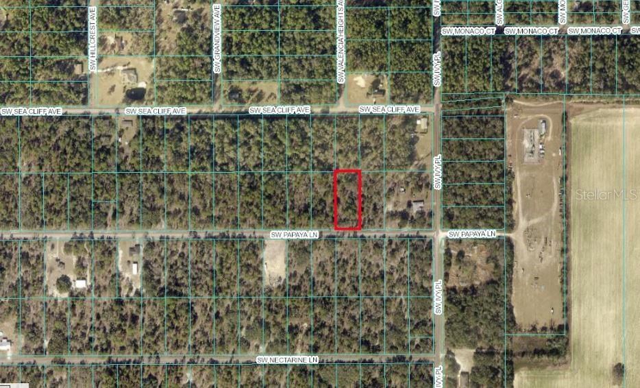 For Sale: $50,000 (0.99 acres)