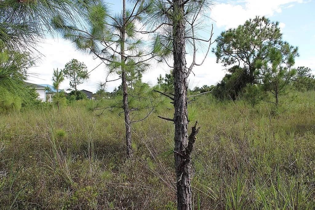 For Sale: $349,000 (2.81 acres)
