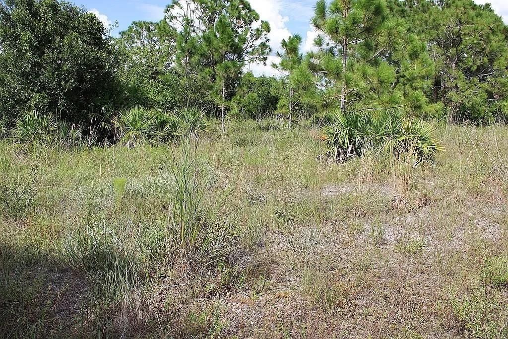For Sale: $349,000 (2.81 acres)