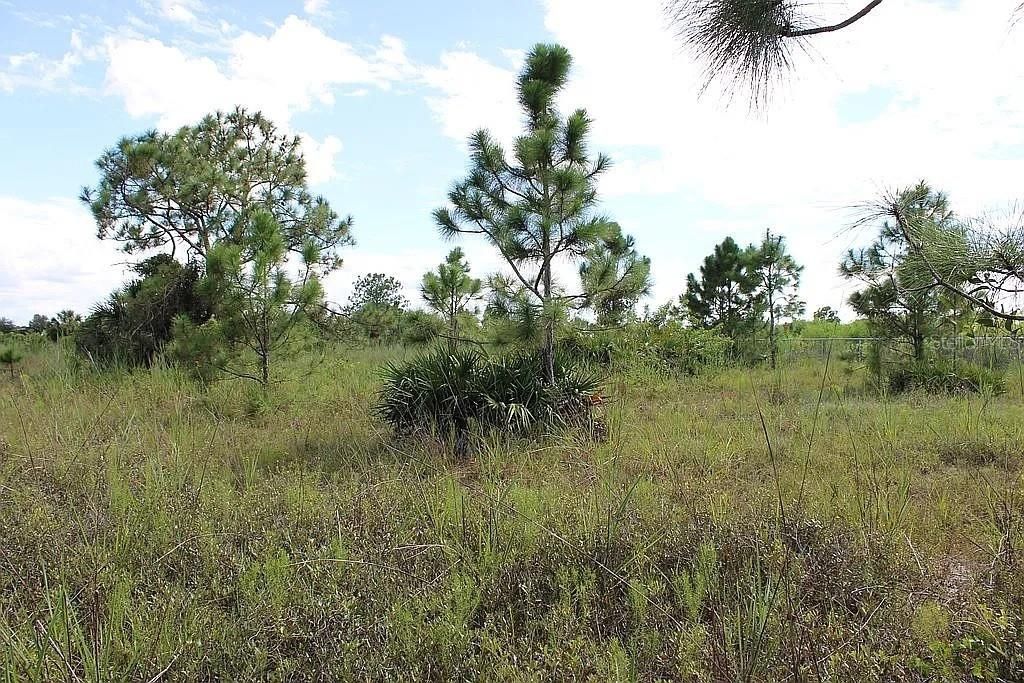For Sale: $349,000 (2.81 acres)