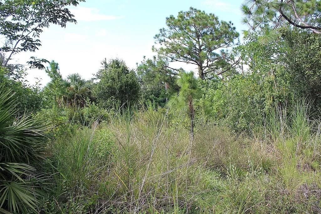 For Sale: $349,000 (2.81 acres)