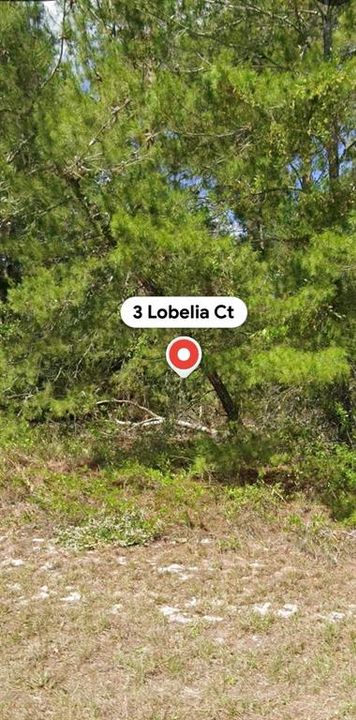 For Sale: $32,000 (0.27 acres)