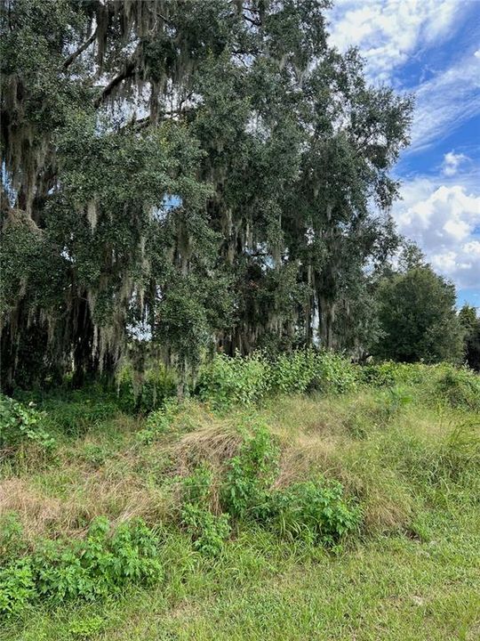 На продажу: $150,000 (4.77 acres)
