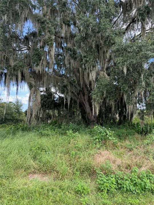 На продажу: $150,000 (4.77 acres)