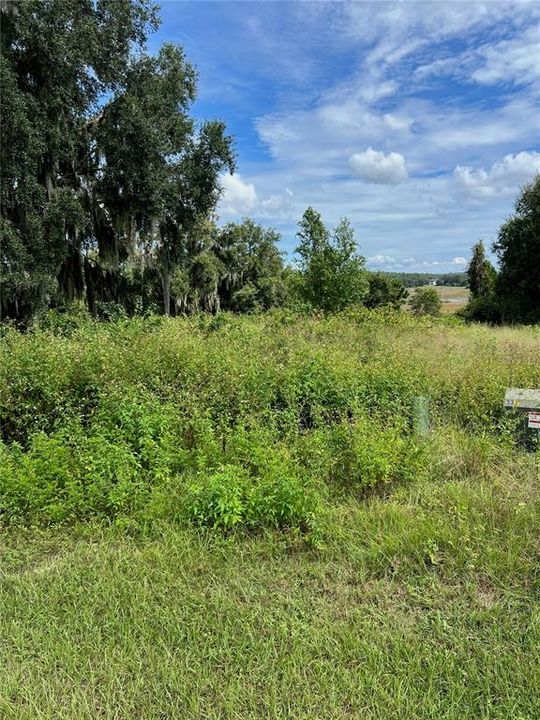 На продажу: $150,000 (4.77 acres)