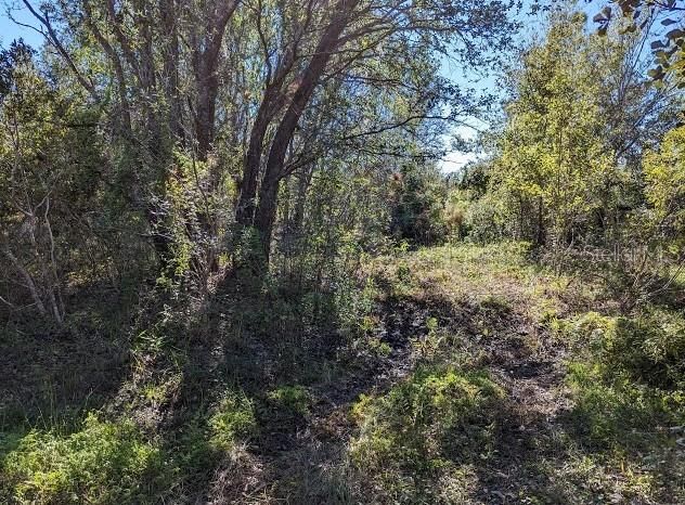 待售: $200,000 (5.17 acres)