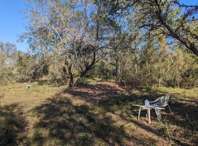 待售: $200,000 (5.17 acres)