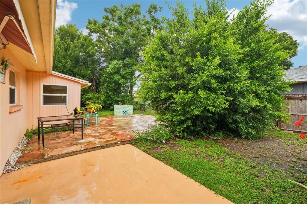 Active With Contract: $365,000 (2 beds, 2 baths, 1665 Square Feet)
