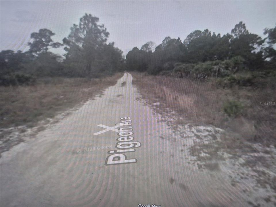 For Sale: $11,999 (0.23 acres)