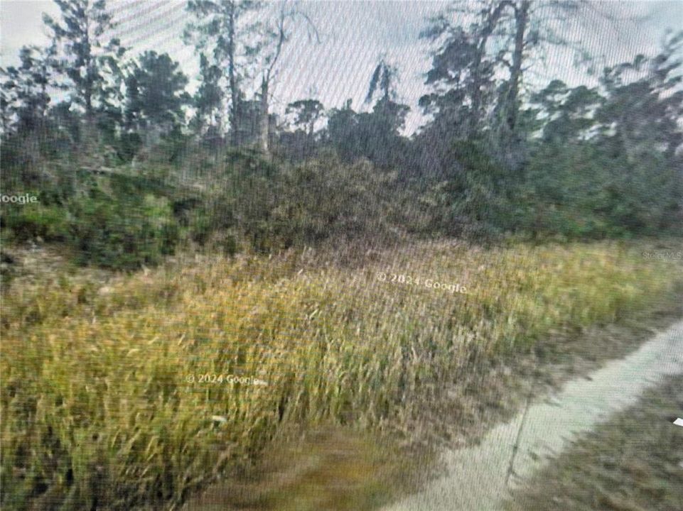 For Sale: $7,999 (0.23 acres)